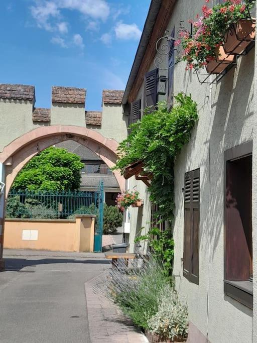 Gite Le3 Bergheim Buitenkant foto